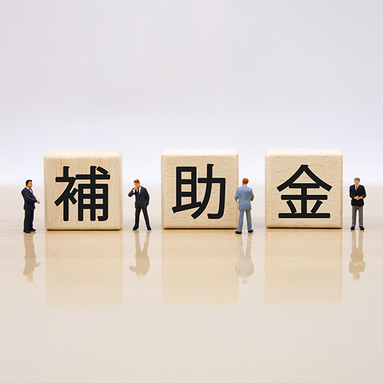 補助金活用イメージ